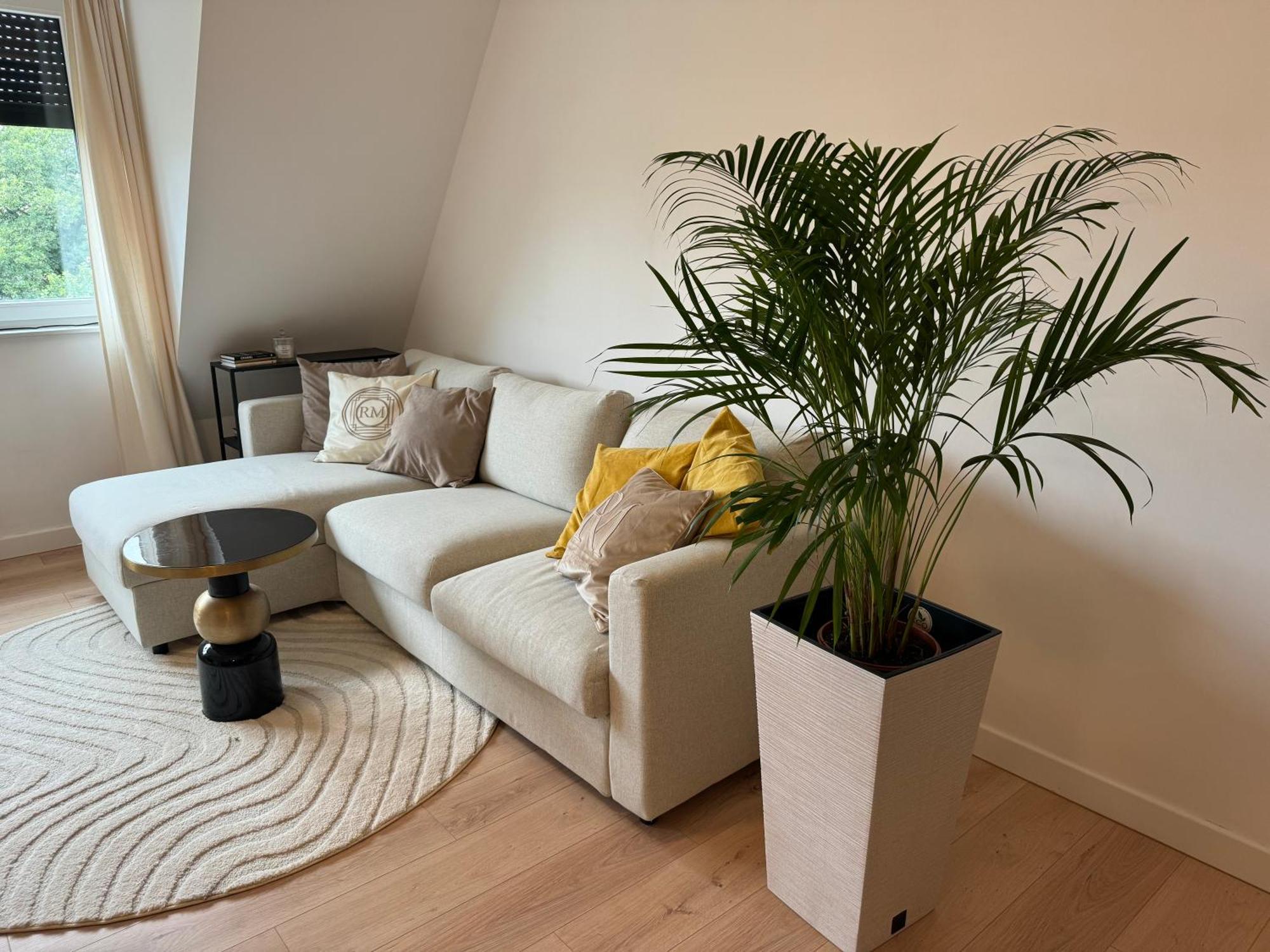 Moon Apartment Торунь Экстерьер фото