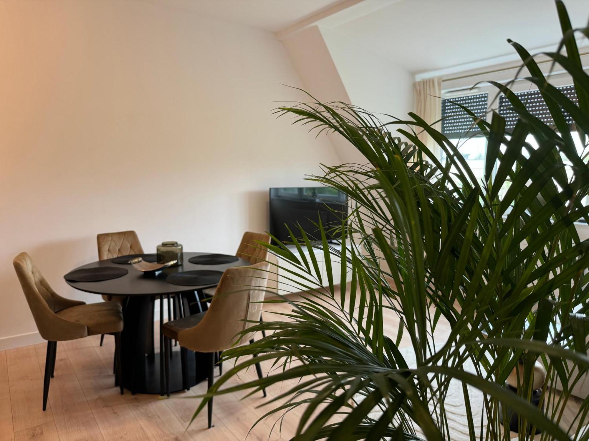 Moon Apartment Торунь Экстерьер фото